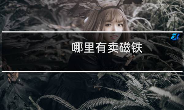 哪里有卖磁铁