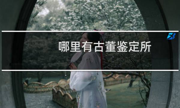 哪里有古董鉴定所