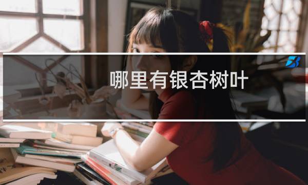 哪里有银杏树叶