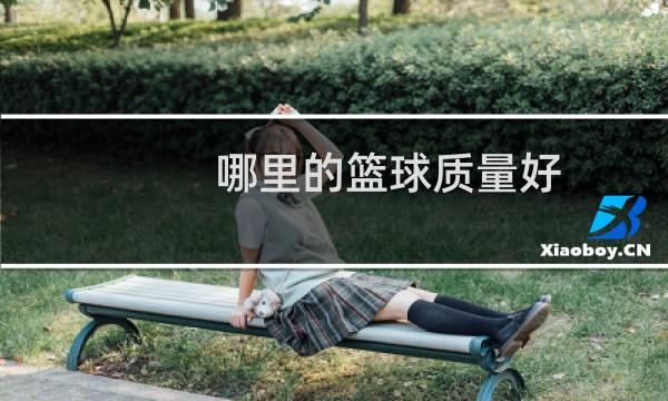 哪里的篮球质量好