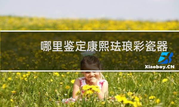 哪里鉴定康熙珐琅彩瓷器