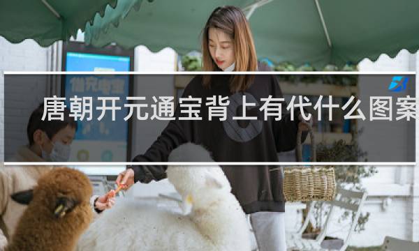 唐朝开元通宝背上有代什么图案的