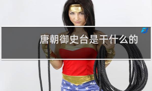 唐朝御史台是干什么的