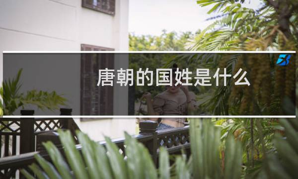 唐朝的国姓是什么