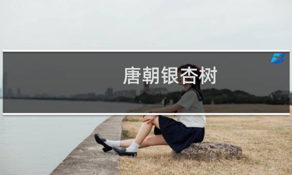 唐朝银杏树