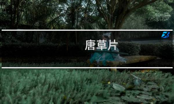 唐草片