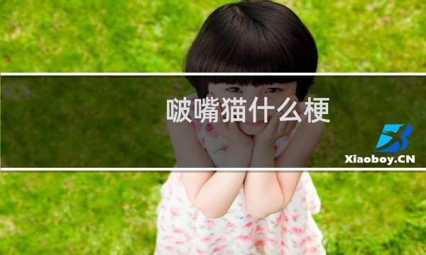 啵嘴猫什么梗