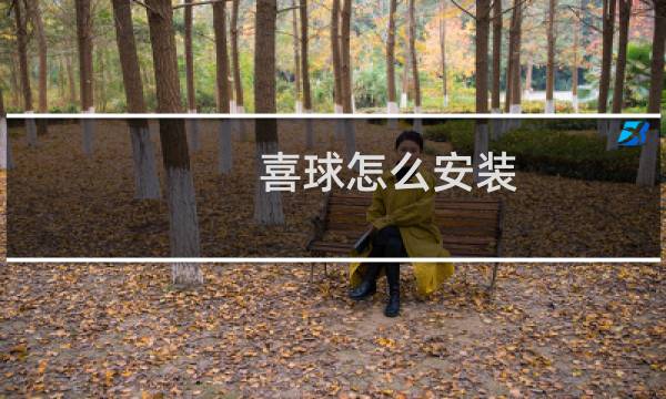 喜球怎么安装