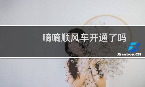 嘀嘀顺风车开通了吗（嘀嘀顺风车上线了吗）图片