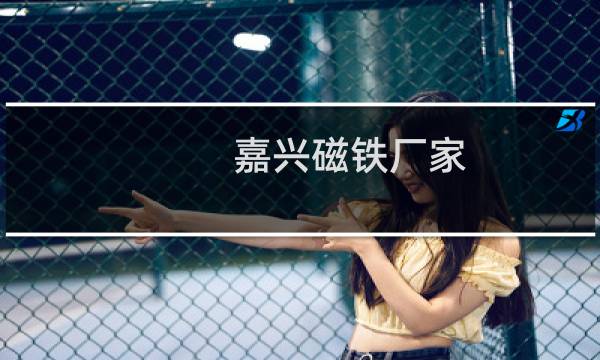 嘉兴磁铁厂家