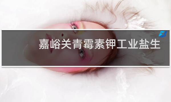 嘉峪关青霉素钾工业盐生产商图片
