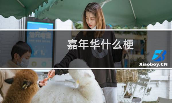 嘉年华什么梗