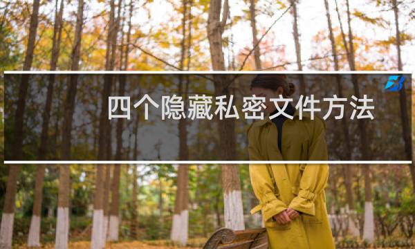 四个隐藏私密文件方法
