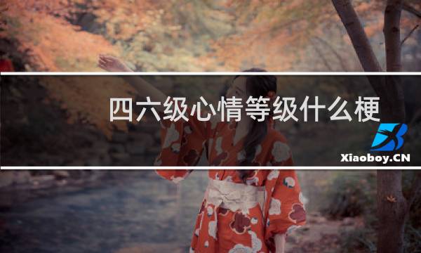 四六级心情等级什么梗