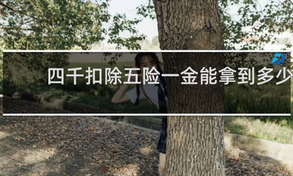 四千扣除五险一金能拿到多少图片