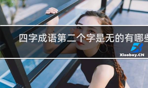 四字成语第二个字是无的有哪些