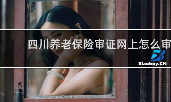 四川养老保险审证网上怎么审