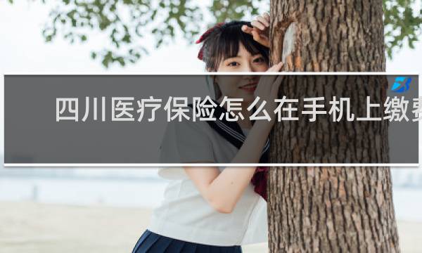 四川医疗保险怎么在手机上缴费