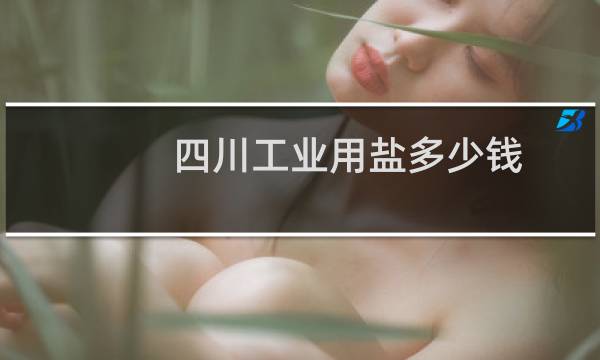 四川工业用盐多少钱图片