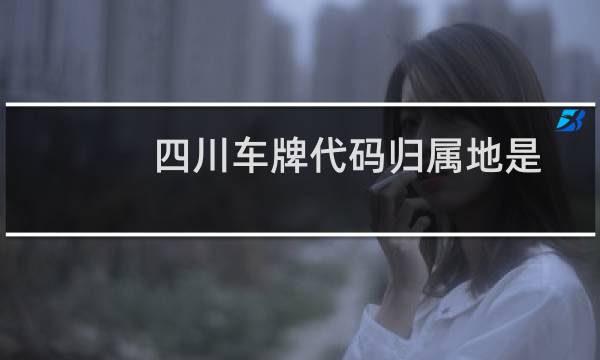 四川车牌代码归属地是怎么排的（四川车牌代码_四川车牌归属地_四川车牌字母_车主指南）图片