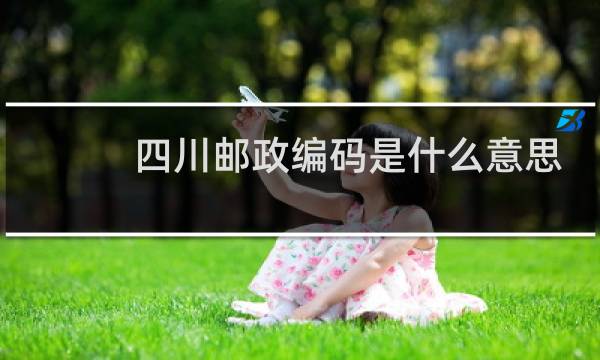 四川邮政编码是什么意思