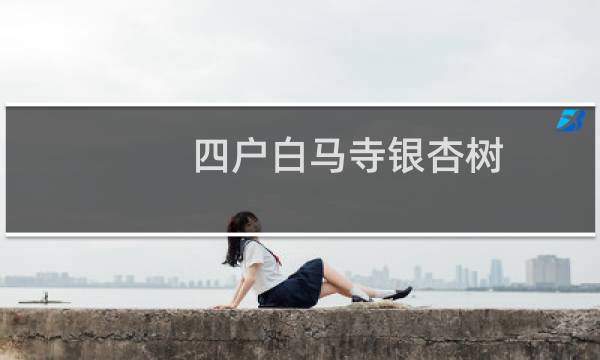 四户白马寺银杏树