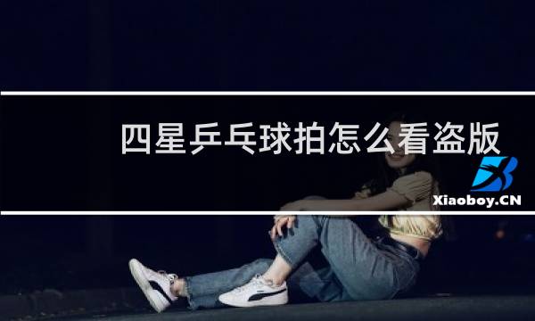 四星乒乓球拍怎么看盗版