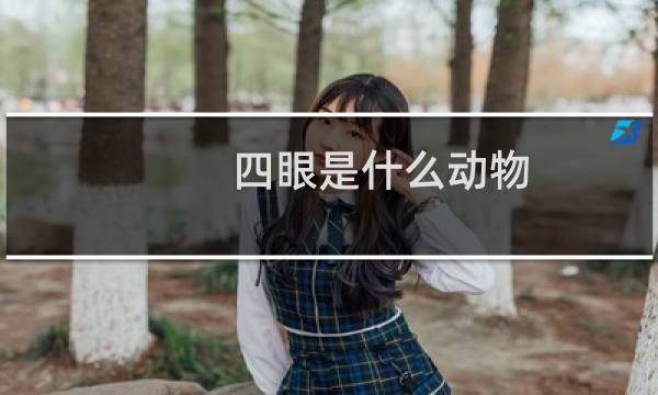 四眼是什么动物