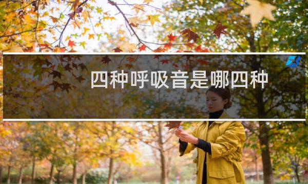 四种呼吸音是哪四种