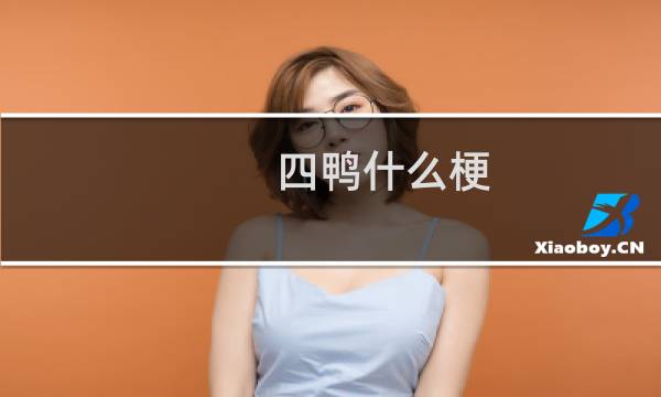 四鸭什么梗
