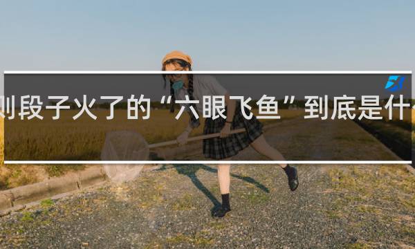 因为一则段子火了的“六眼飞鱼”到底是什么意思什么梗