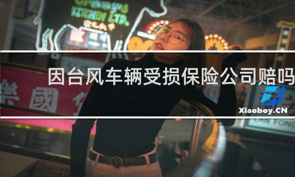 因台风车辆受损保险公司赔吗图片