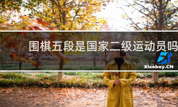 围棋五段是国家二级运动员吗