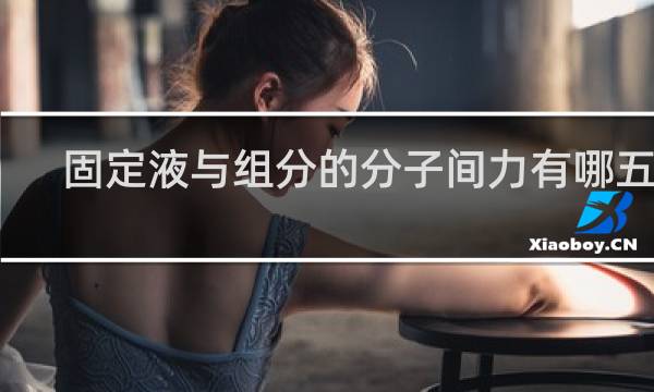 固定液与组分的分子间力有哪五种