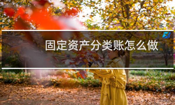 固定资产分类账怎么做(固定资产分类)