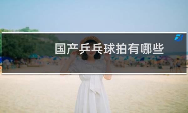 国产乒乓球拍有哪些