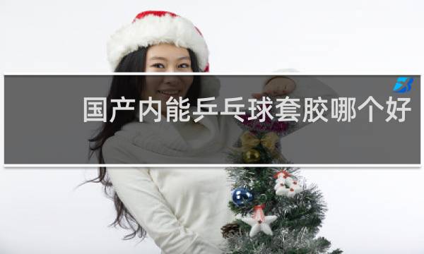 国产内能乒乓球套胶哪个好