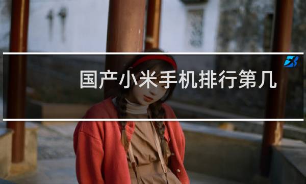 国产小米手机排行第几