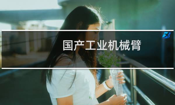 国产工业机械臂