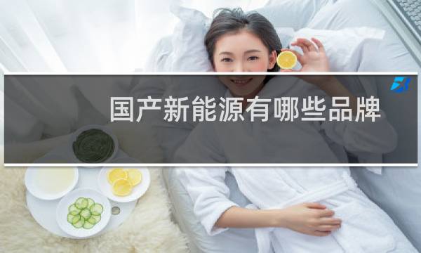 国产新能源有哪些品牌