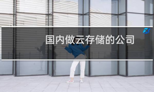 国内做云存储的公司(企业私有云存储哪个好网擎信息SecuShare和精云科技Mondo)