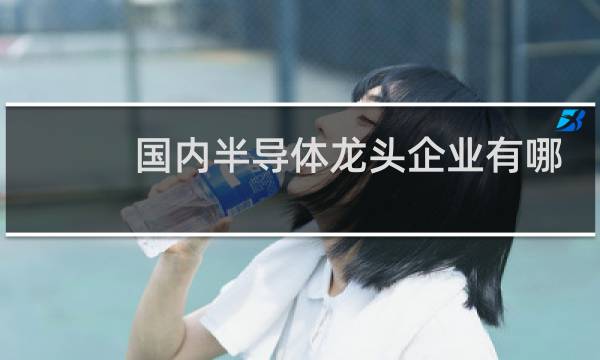 国内半导体龙头企业有哪些