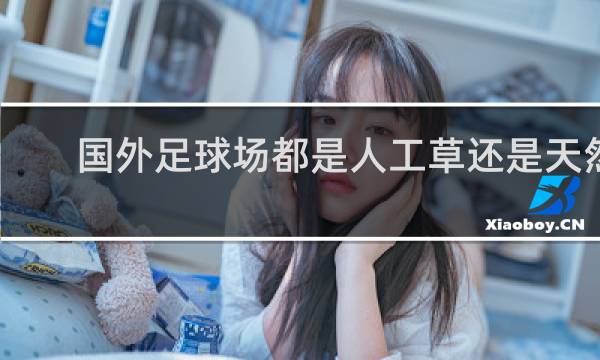 国外足球场都是人工草还是天然草