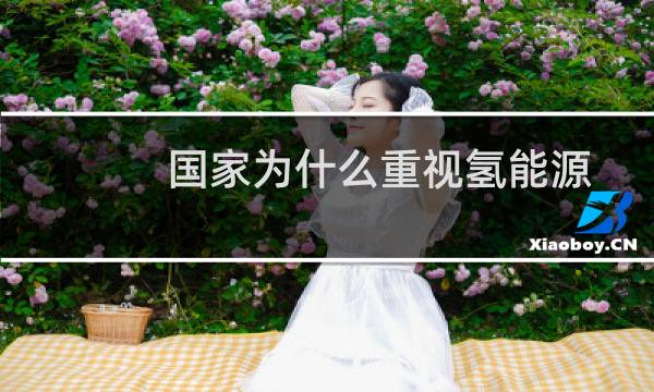 国家为什么重视氢能源图片