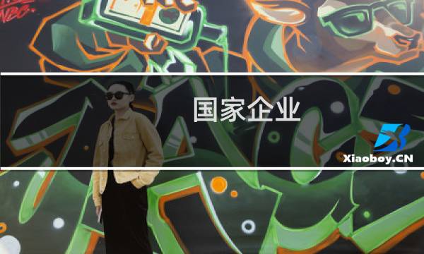 国家企业