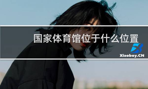 国家体育馆位于什么位置