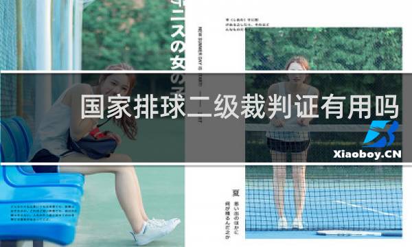 国家排球二级裁判证有用吗