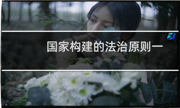 国家构建的法治原则一般包括哪些内容