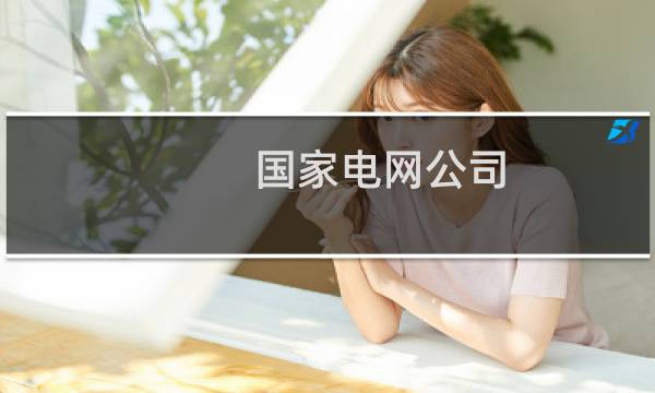 国家电网公司