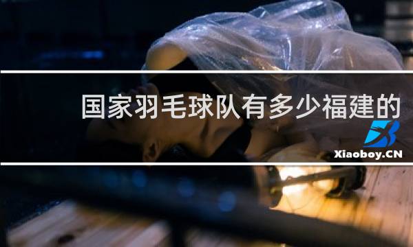 国家羽毛球队有多少福建的